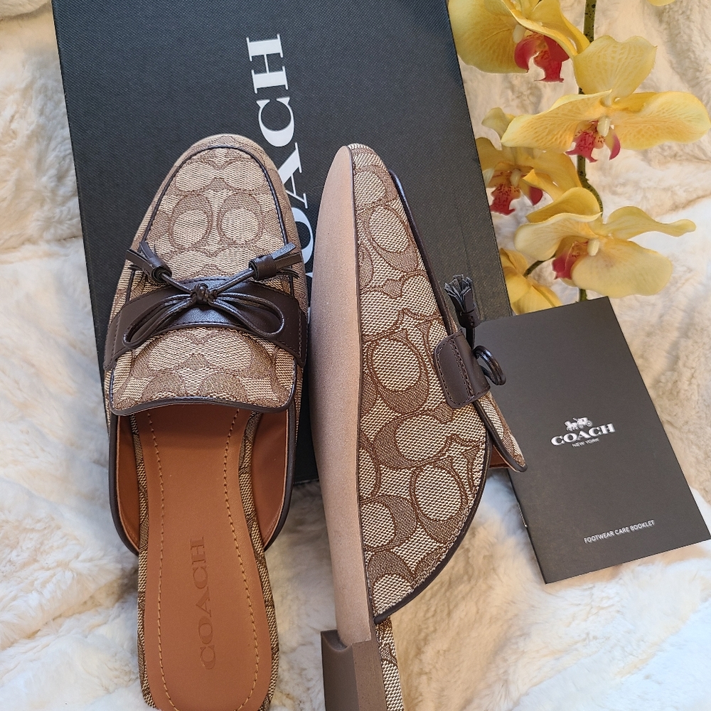 Brand New Coach Slides!